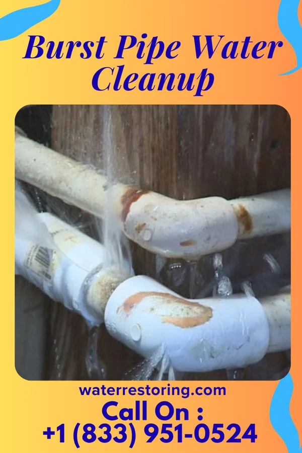 Burst Pipe Water Cleanup in Sissonville, WV