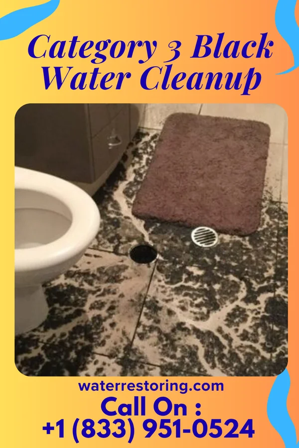 Category 3 Black Water Cleanup in Sissonville, WV