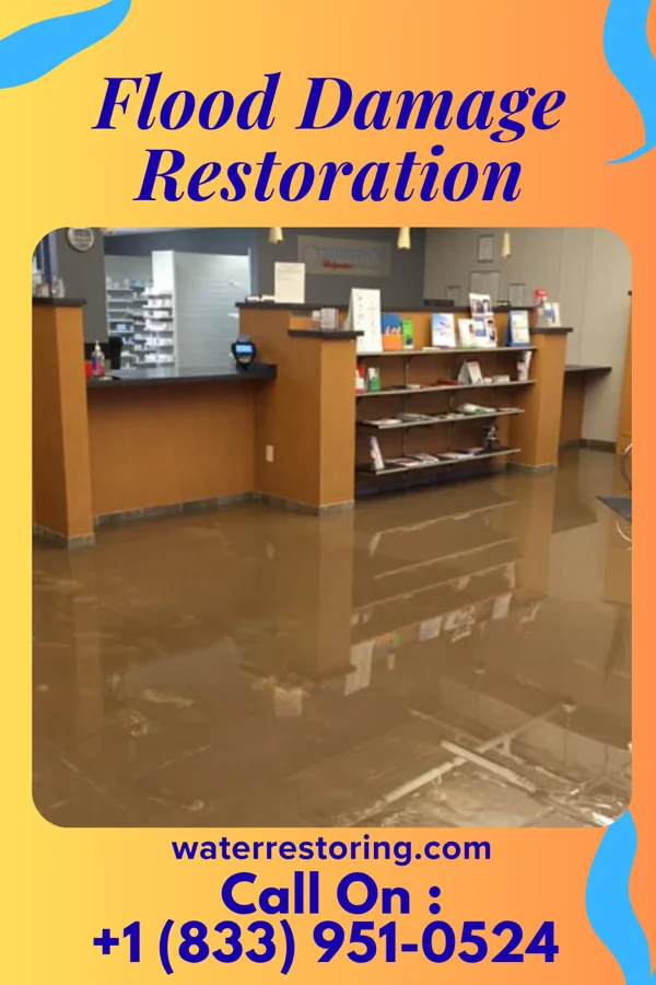 Flood Damage Restoration in Sissonville, WV