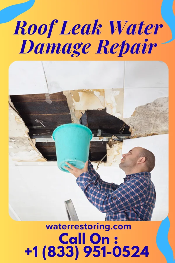 Roof Leak Water Damage Repair in Sissonville, WV