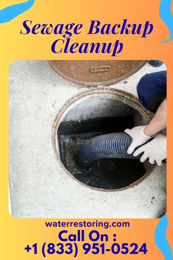 Sewage Backup Cleanup in Sissonville, WV