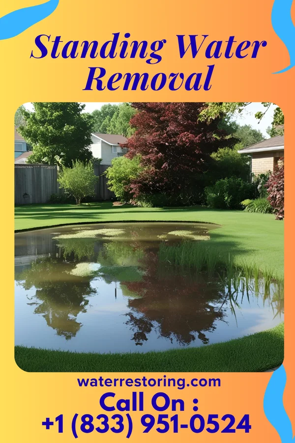 Standing Water Removal in Sissonville, WV